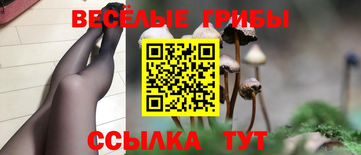 Псилоцибиновые грибы MAGIC MUSHROOMS  Вход с VPN  сколько стоит  Электросталь 