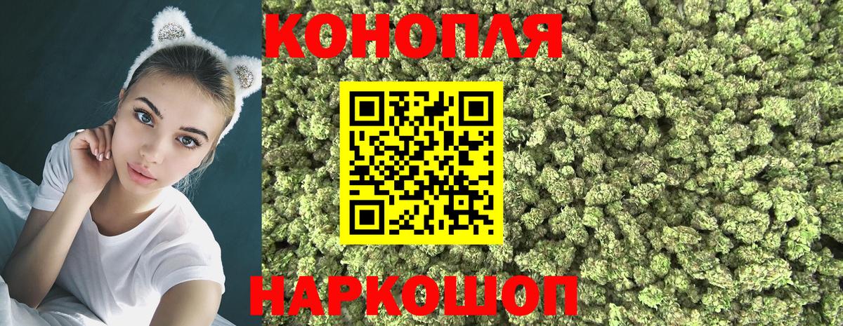 Каннабис план Электросталь